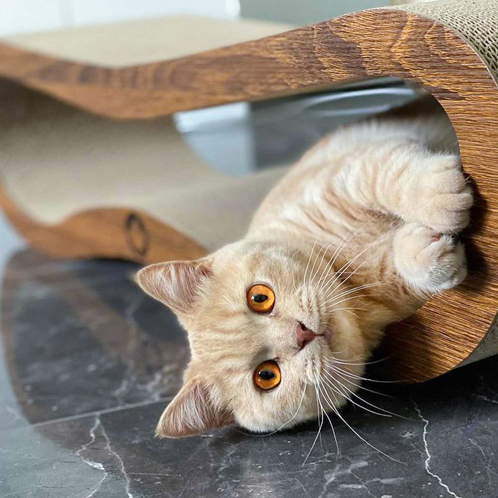 CanadianCat Company Krabmeubel Orbit Walnut Brown