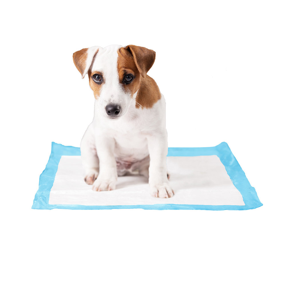 Duvo+ Puppy Pads Basic - 30 stuks (30 x 45 cm)
