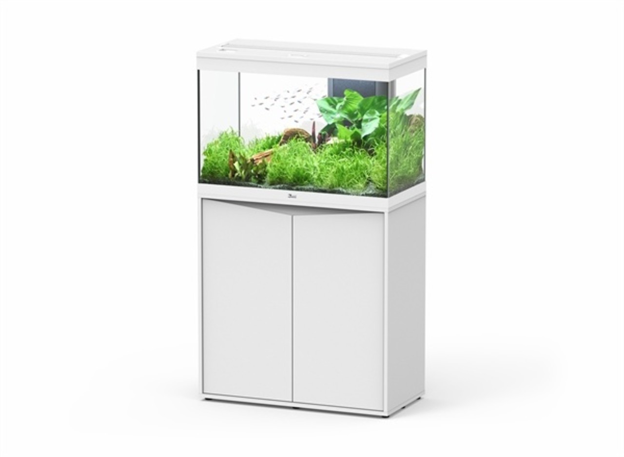 Aquatlantis Aquarium met Meubel Set Splendid 80