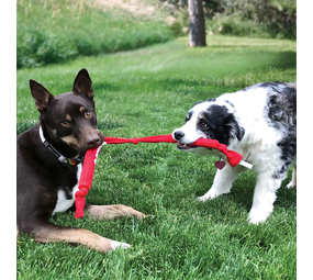 KONG Signature Crunch Rope Double 81 cm