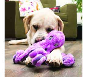 KONG SoftSeas Hondenspeeltje Octopus