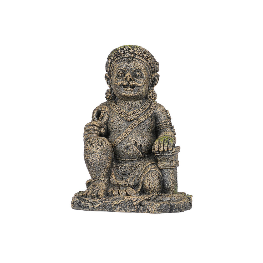 Aqua Della Plaoson Aquarium Decoratie Aqua Della Plaoson Aquarium Decoratie