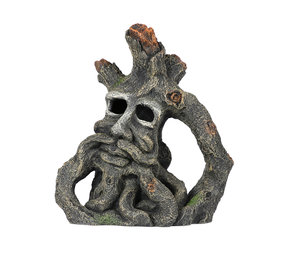 Aqua Della Jacob Root Aquarium Decoratie Aqua Della Jacob Root Aquarium Decoratie