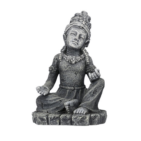 Aqua Della Siara Aquarium Decoratie Aqua Della Siara Aquarium Decoratie