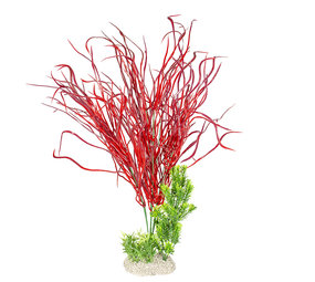 Aqua Della Kunstplant Lily Grass Rood 50 cm Aqua Della Kunstplant Lily Grass Rood 50 cm