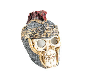 Aqua Della Romeins Doodshoofd Small Aquarium Decoratie