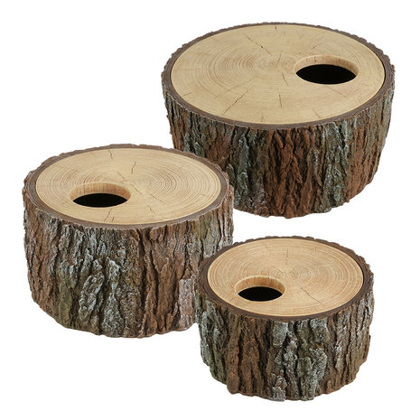 Terra Della Reptielen Schuilplaats Boom