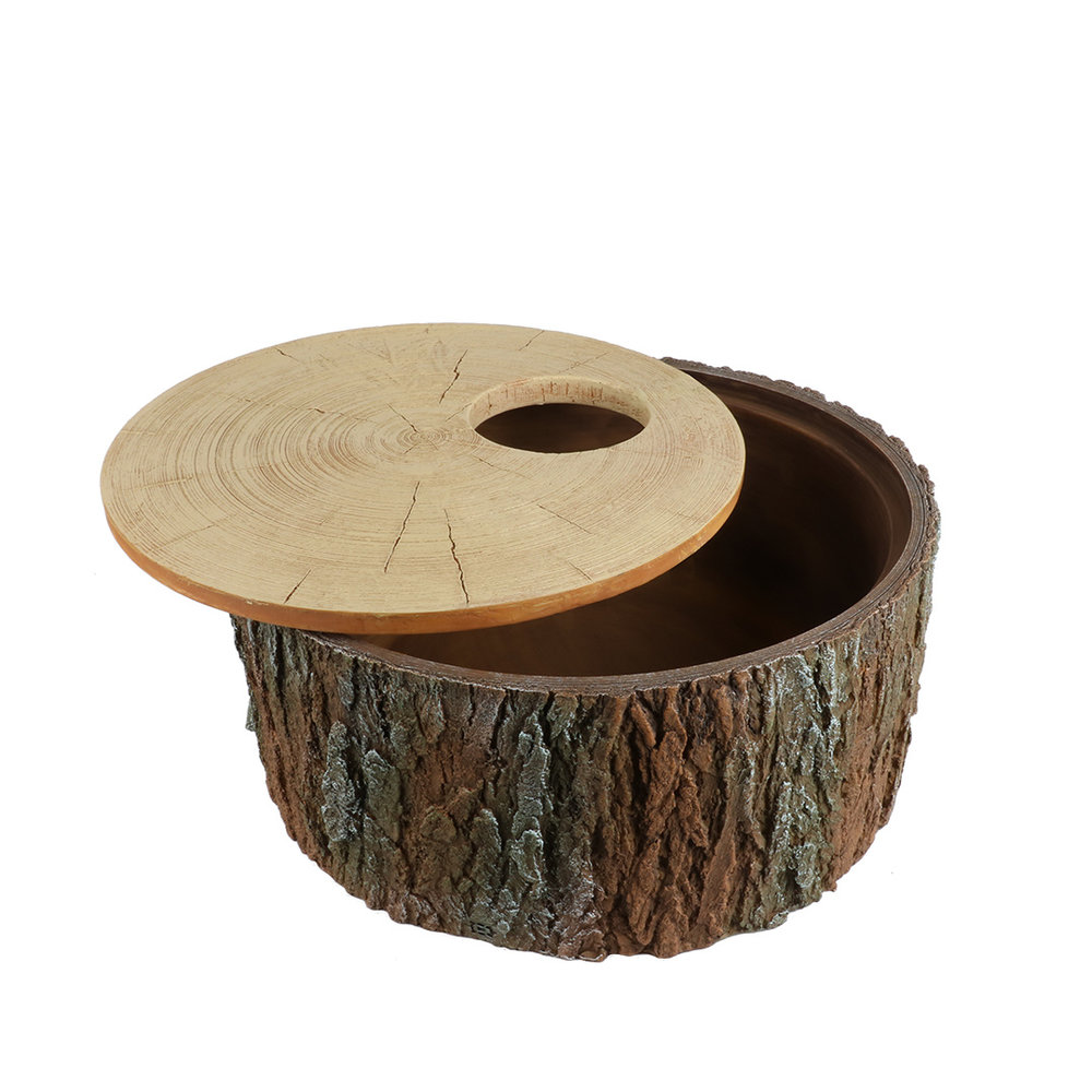 Terra Della Reptielen Schuilplaats Boom