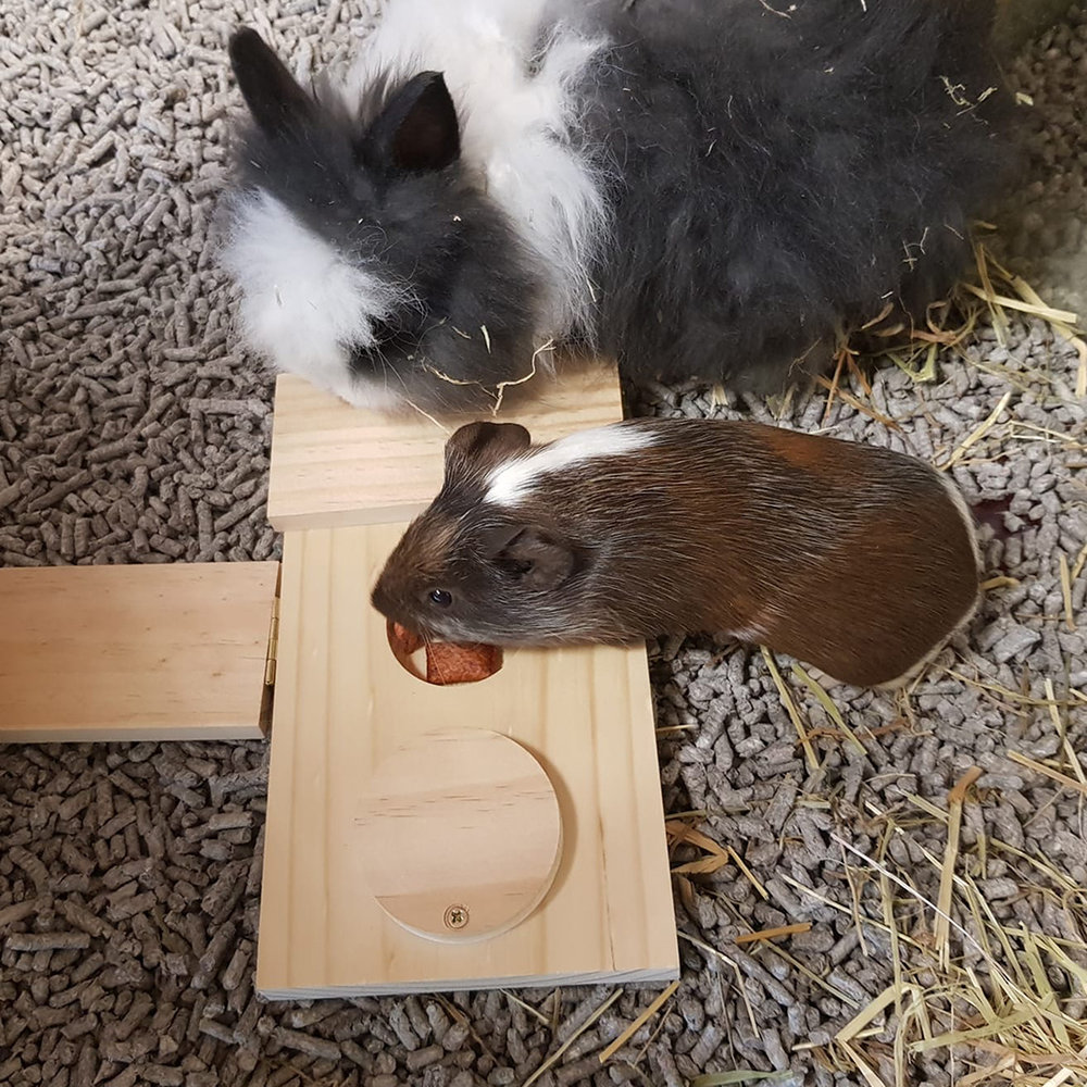 Duvo+ Houten Sniffle 'n Snack Puzzle Dan