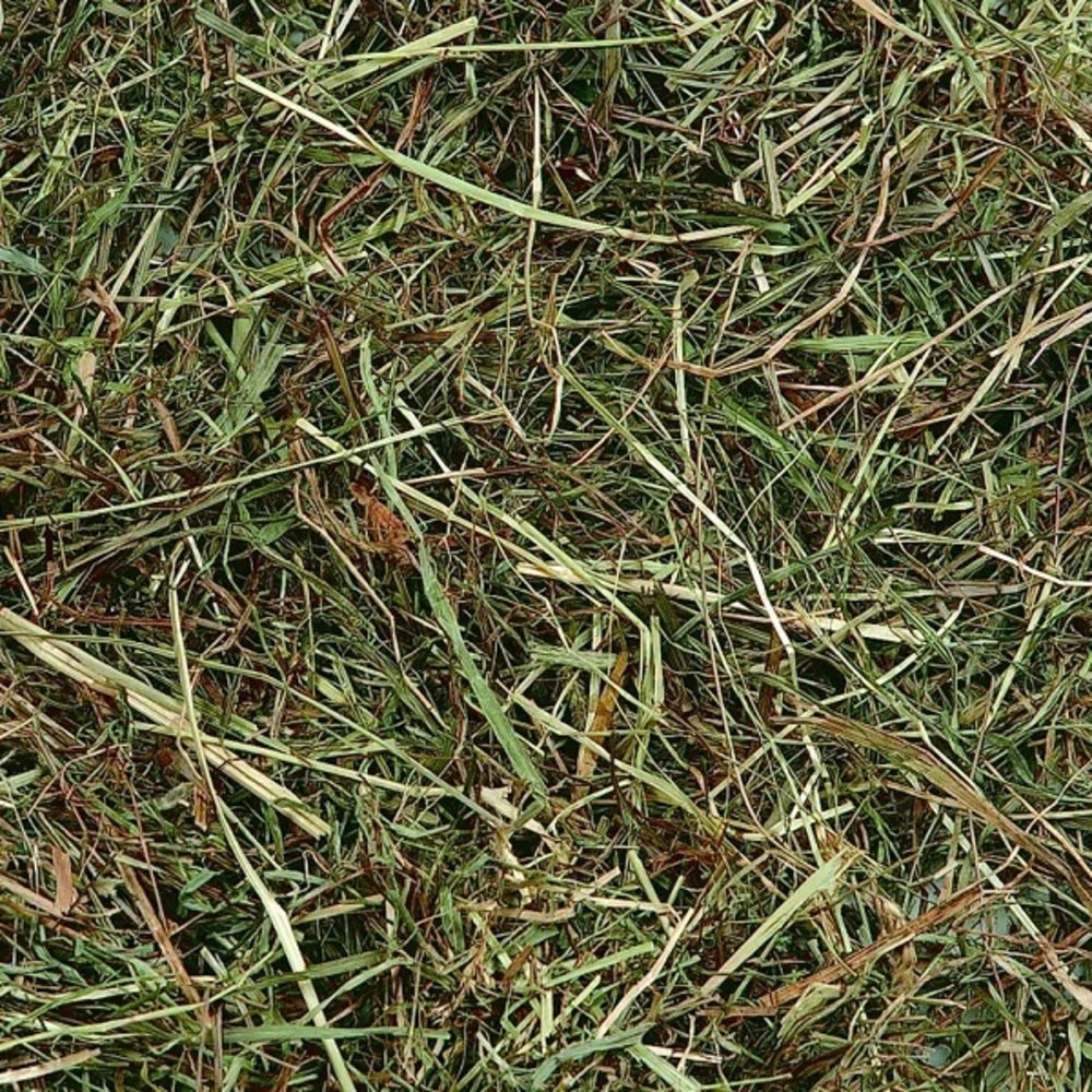 Flamingo Berghooi Munt 500 Gram