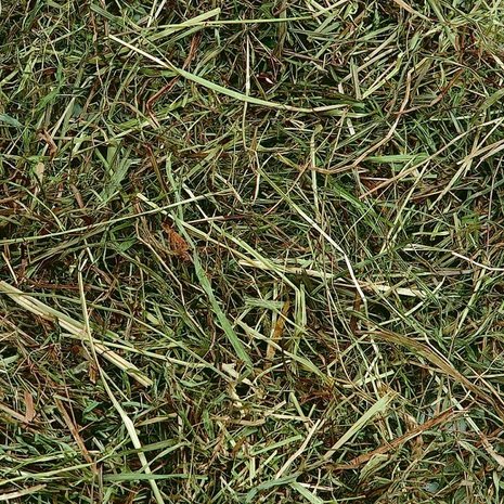 Flamingo Berghooi Munt 500 Gram