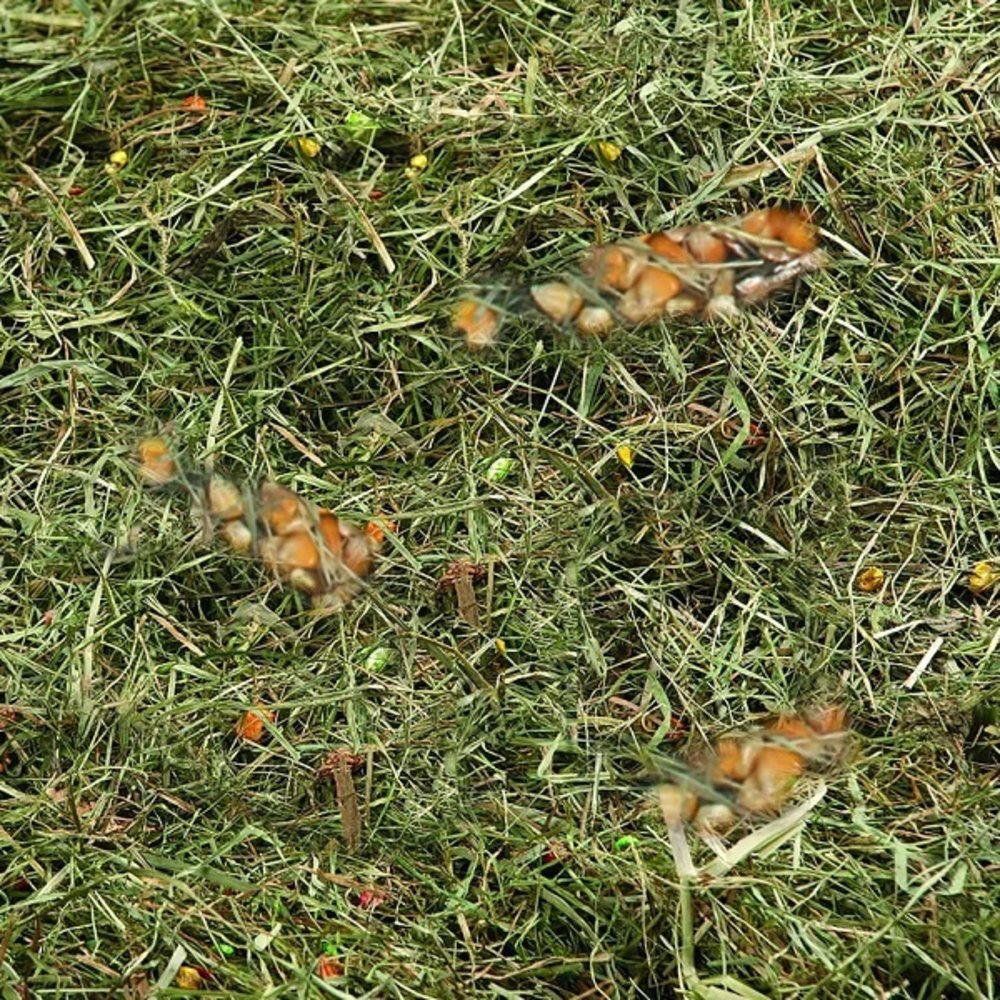 Flamingo Berghooi Tarwe & Mais 500 Gram Flamingo Berghooi Tarwe & Mais 500 Gram