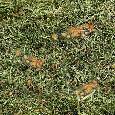 Flamingo Berghooi Tarwe & Mais 500 Gram Flamingo Berghooi Tarwe & Mais 500 Gram