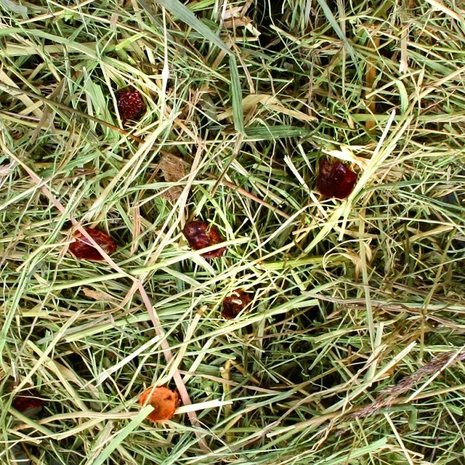 Flamingo Berghooi Rozenbottel 500 Gram Flamingo Berghooi Rozenbottel 500 Gram