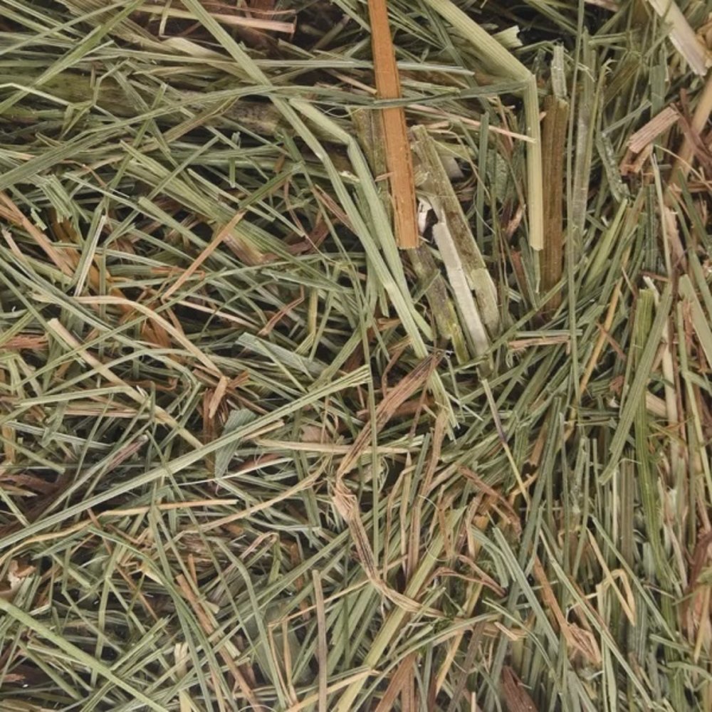 Flamingo Berghooi Brandnetel 500 Gram