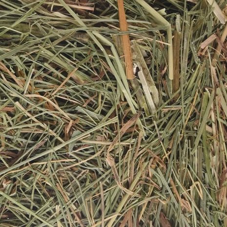 Flamingo Berghooi Brandnetel 500 Gram