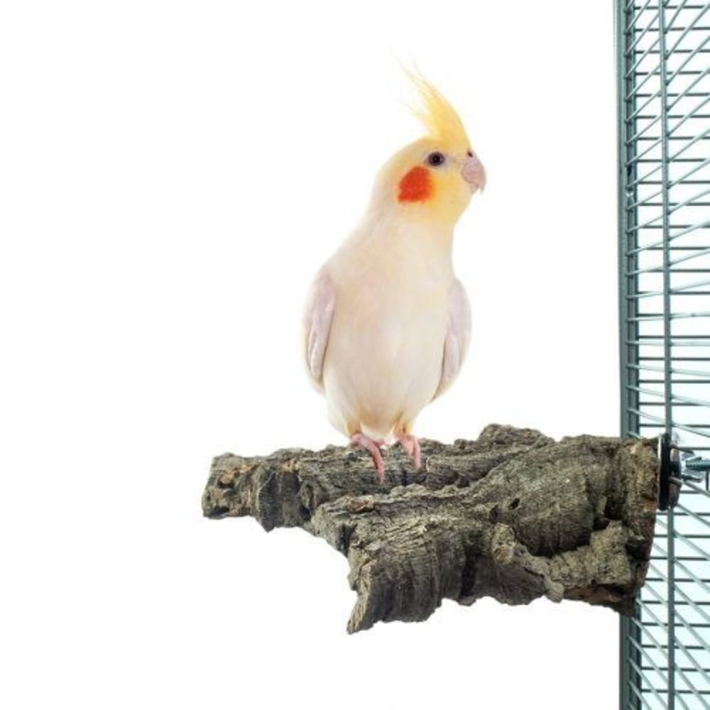 Happy Bird Kurk Stronk Zitplaats Medium