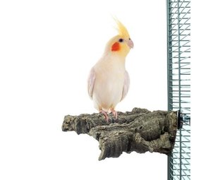 Happy Bird Kurk Stronk Zitplaats Medium