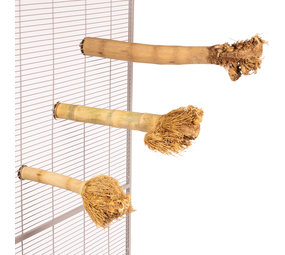 Java Bamboo Zitstok met wortelkop