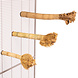Java Bamboo Zitstok met wortelkop Java Bamboo Zitstok met wortelkop