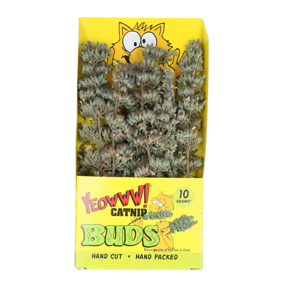 Yeowww! Catnip Kattenkruid takjes 10 gram Yeowww! Catnip Kattenkruid takjes 10 gram