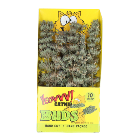 Yeowww! Catnip Kattenkruid takjes 10 gram Yeowww! Catnip Kattenkruid takjes 10 gram
