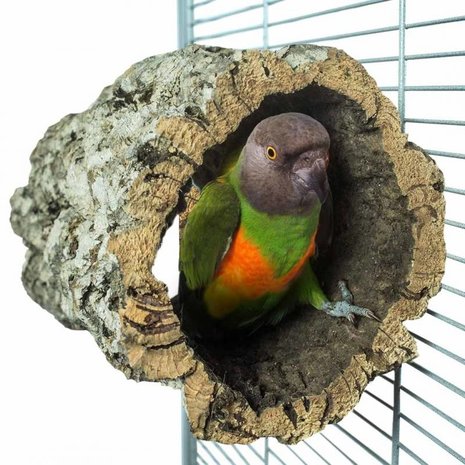 Pets Gifts Kurktunnel Medium met vleugelmoer