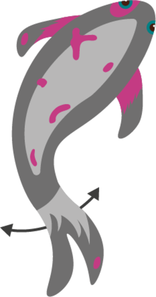 Robocat Karper Bewegende Vis met USB