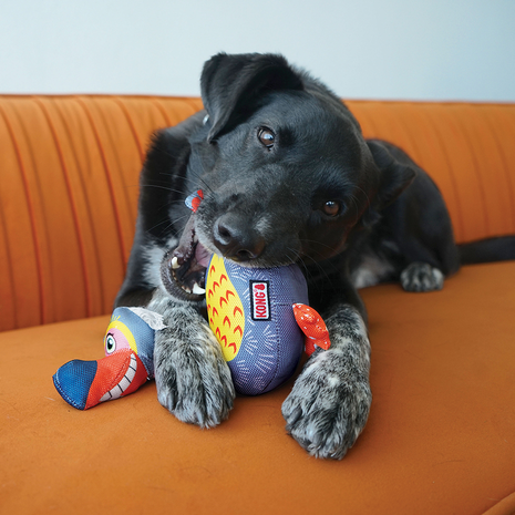 KONG Ballistic Vibez Bird