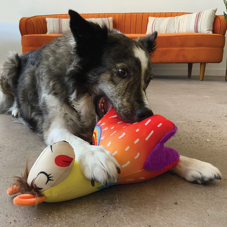 KONG Ballistic Vibez Lama