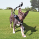 KONG Extreme Dental met Touw Snack Bone KONG Extreme Dental met Touw Snack Bone