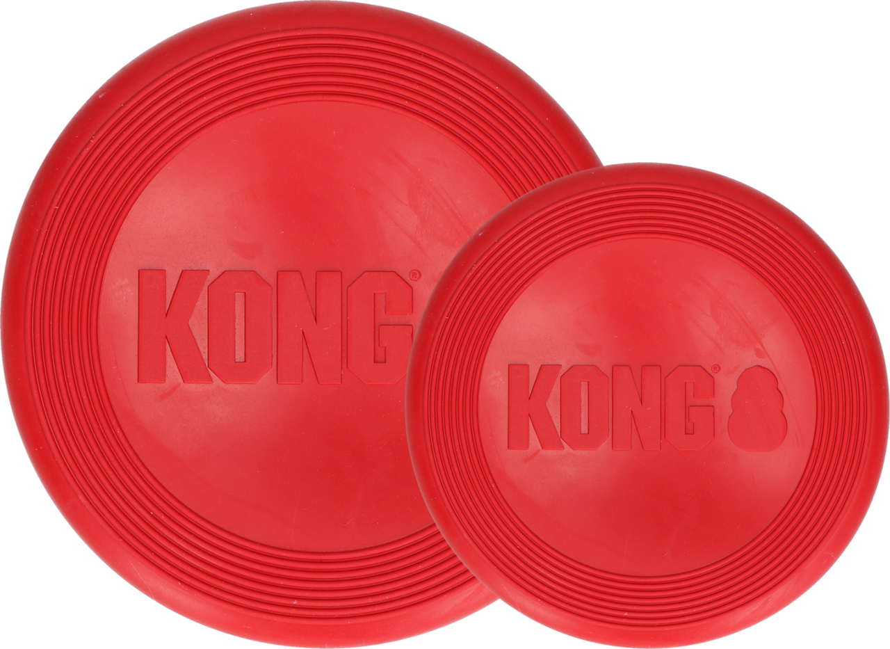 KONG Flyer Frisbee
