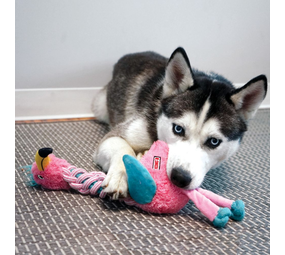 KONG Knots Twists KONG Knots Twists