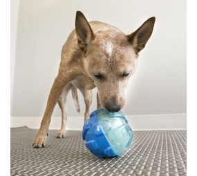 KONG Rewards Ball Large KONG Rewards Ball Large