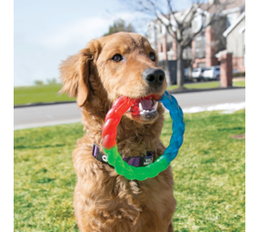 KONG Twistz Ring KONG Twistz Ring