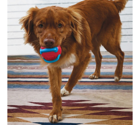 KONG Jaxx Brights Ball KONG Jaxx Brights Ball