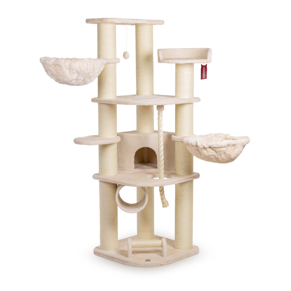 CanadianCat Company Krabpaal Maine Coon Dawson beige