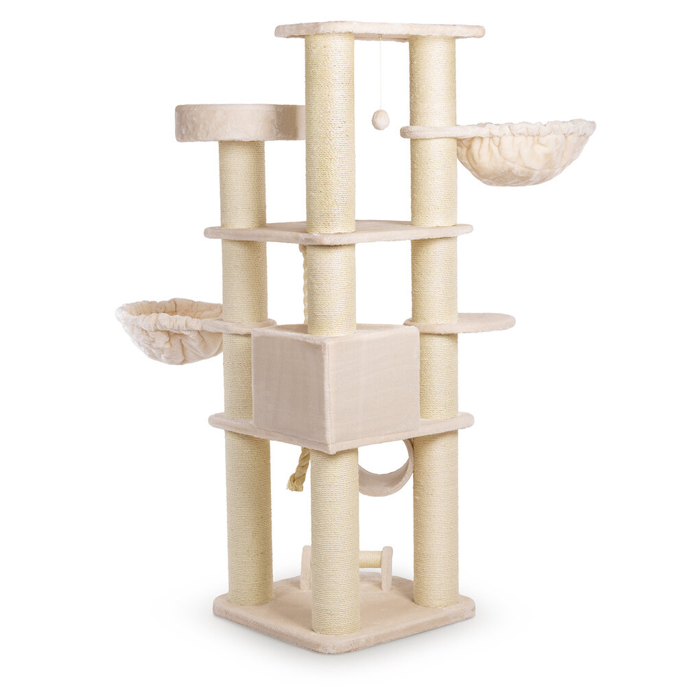 CanadianCat Company Krabpaal Maine Coon Dawson beige
