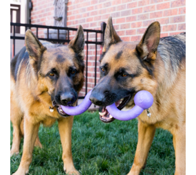 KONG Ogee Stick Medium 30 cm KONG Ogee Stick Medium 30 cm