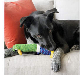 KONG Shakers Cuckoos