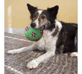 KONG Sneakerz Sport Soccer Ball