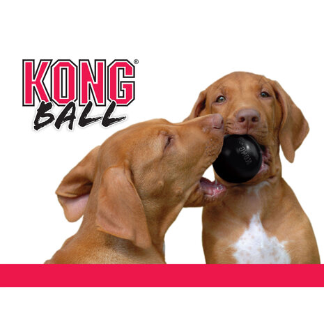 KONG Ball Extreme KONG Ball Extreme