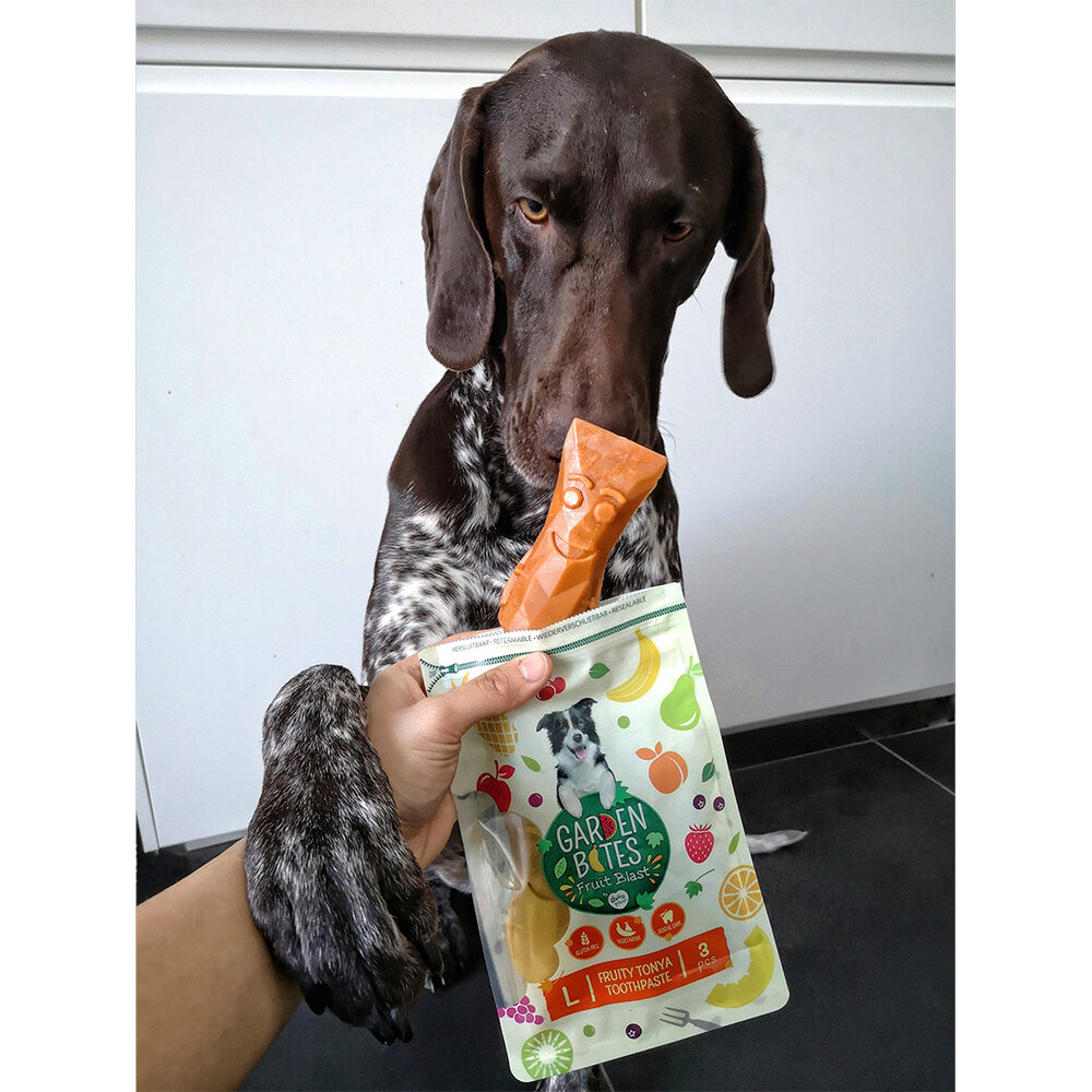 Garden Bites Fruity Tonya Toothpaste Vega Hondensnacks