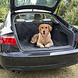 Duvo+ Comfy Kofferbakbeschermer Duvo+ Comfy Kofferbakbeschermer
