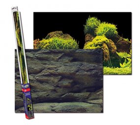 AquaNova Foto achterwand Rots/Planten