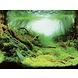 AquaNova Foto achterwand Planten/Oceaan AquaNova Foto achterwand Planten/Oceaan