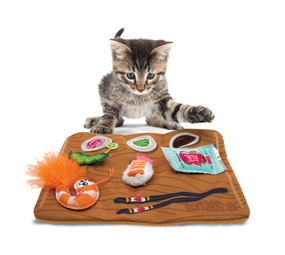 KONG Sushi Speelmat KONG Sushi Speelmat