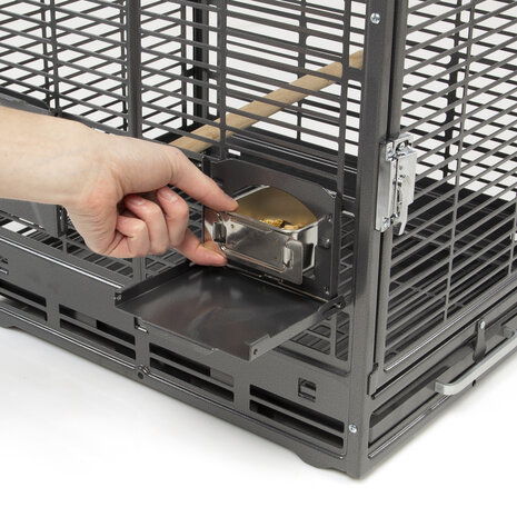 Montana Reiskooi Vogels en Papegaai antraciet