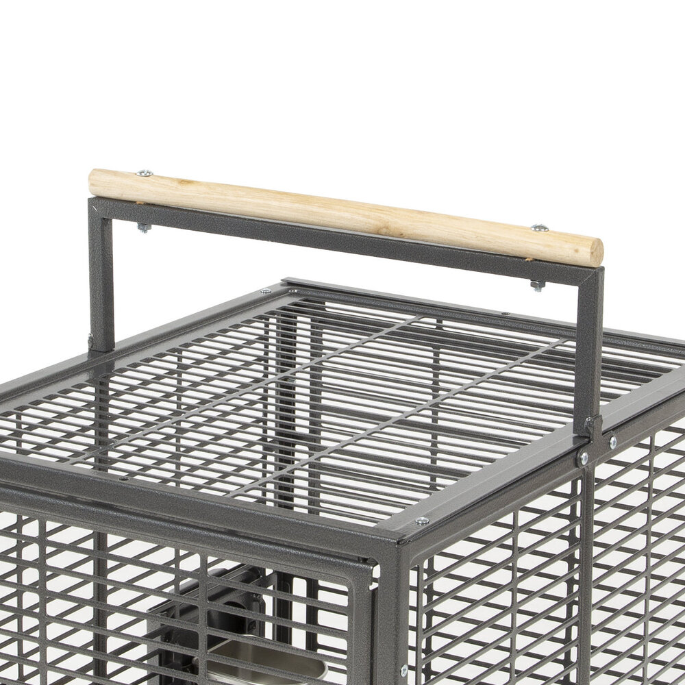 Montana Reiskooi Vogels en Papegaai antraciet