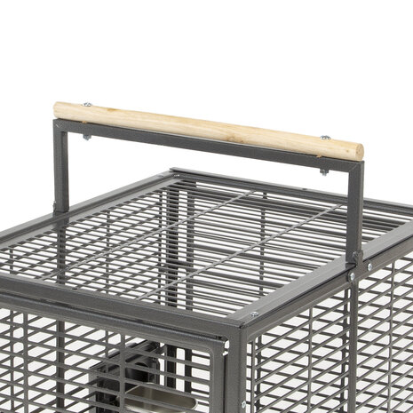 Montana Reiskooi Vogels en Papegaai antraciet